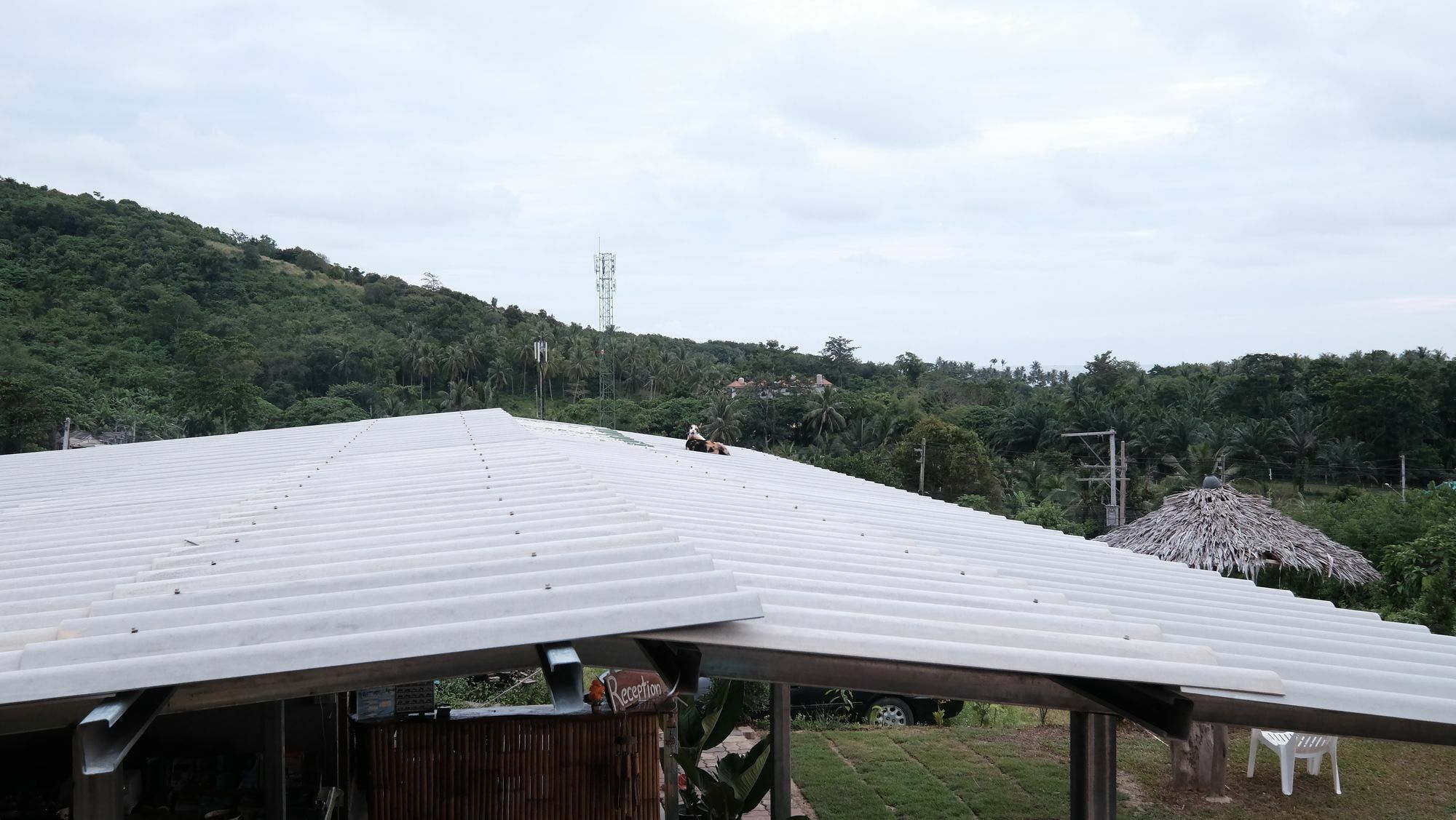 Cat Bungalow Ko Lanta Dış mekan fotoğraf